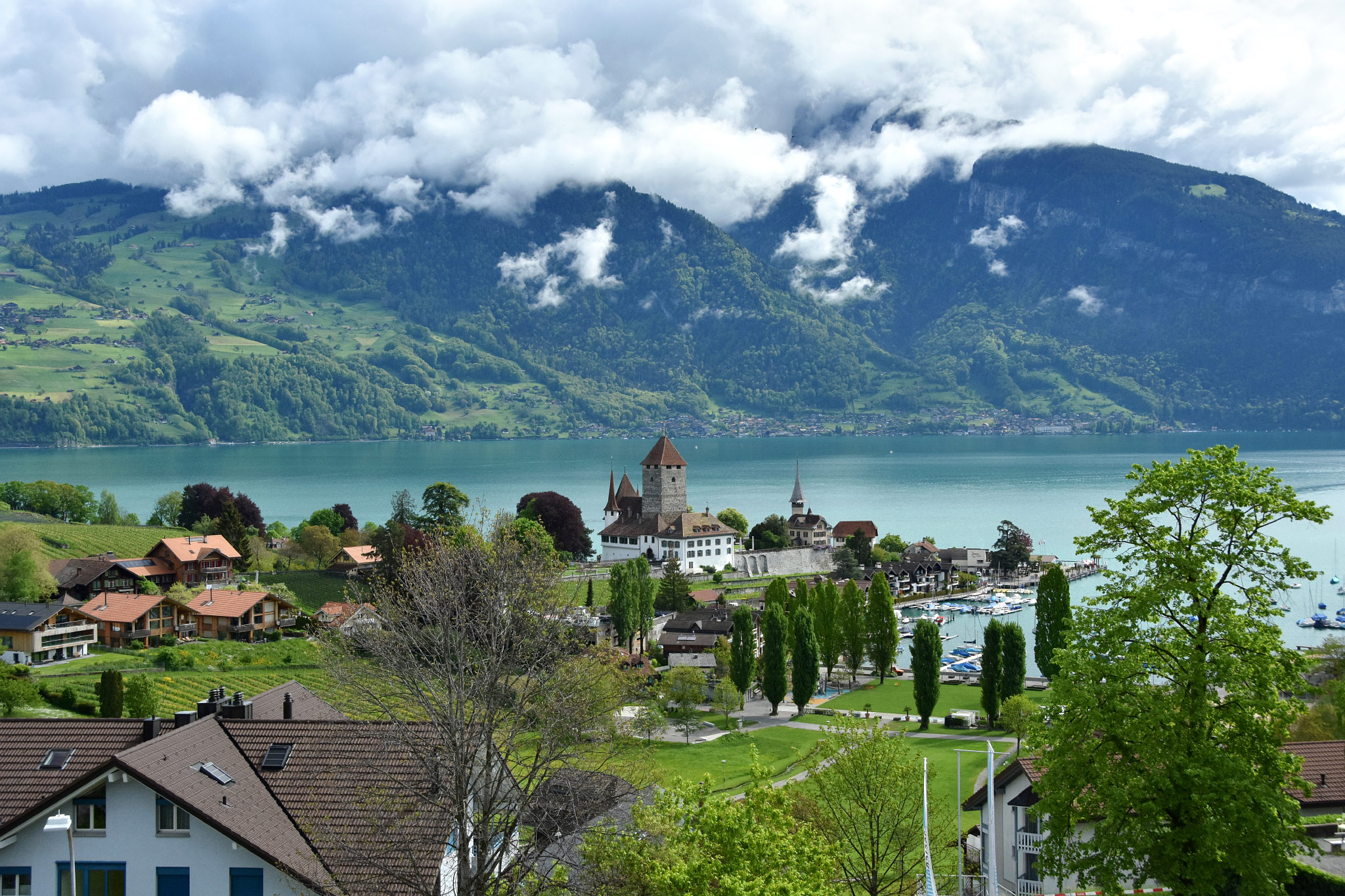 Spiez
